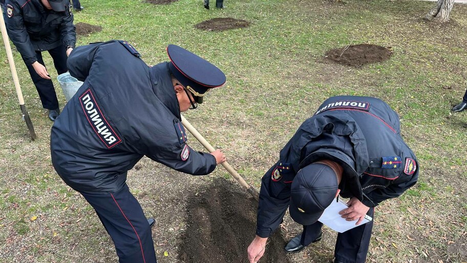 Фото: Херсонское агентство новостей