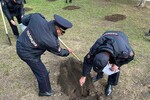 Фото: Херсонское агентство новостей