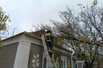 Фото: Официальный Телеграм-канал губернатора Херсонской области Владимира Сальдо