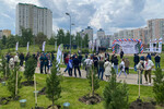 Фото: Херсонское агентство новостей