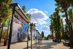 Фото: Луганский Информационный Центр/Анастасия Стеценко