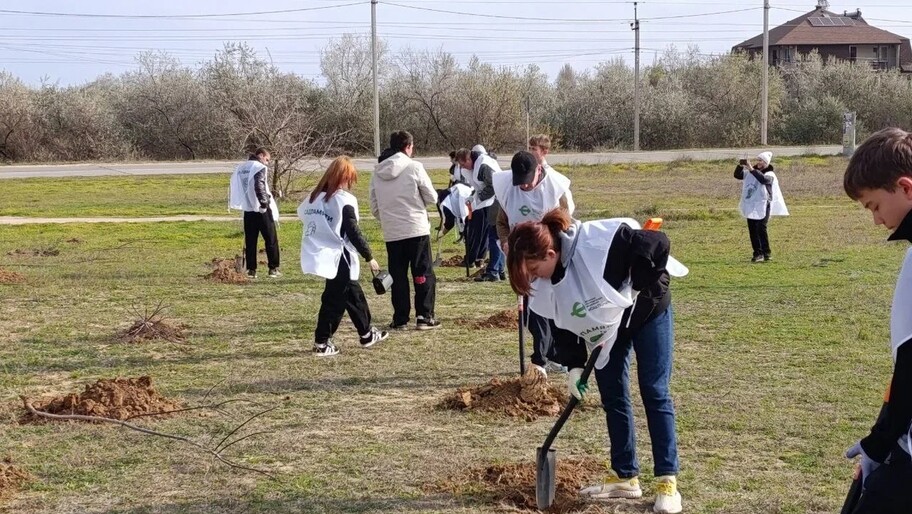 Фото: пресс-служба проекта «Сад Памяти»