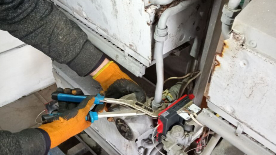 Фото: пресс-служба Калининградской области 