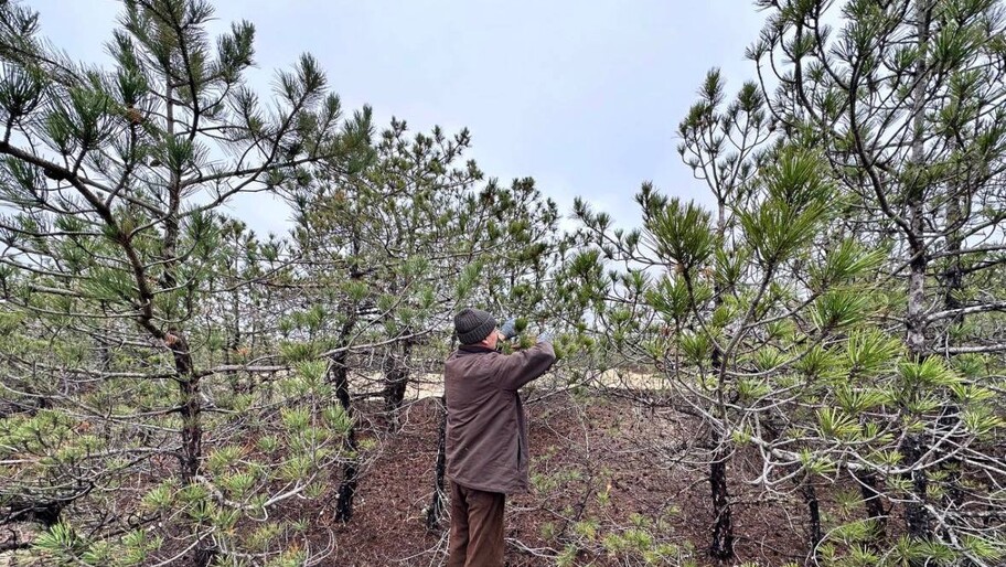 Фото: Минприроды Херсонской области