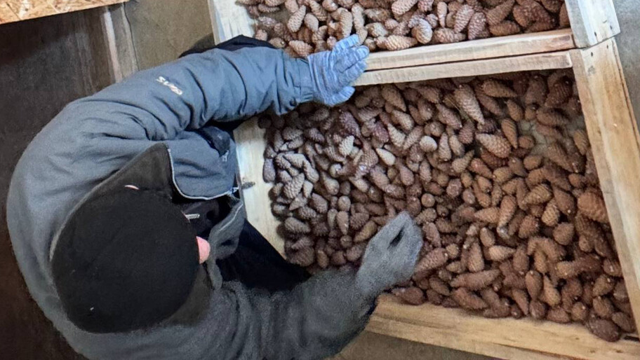 Фото: Минприроды Херсонской области