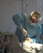 Эдуард Гаптракипов